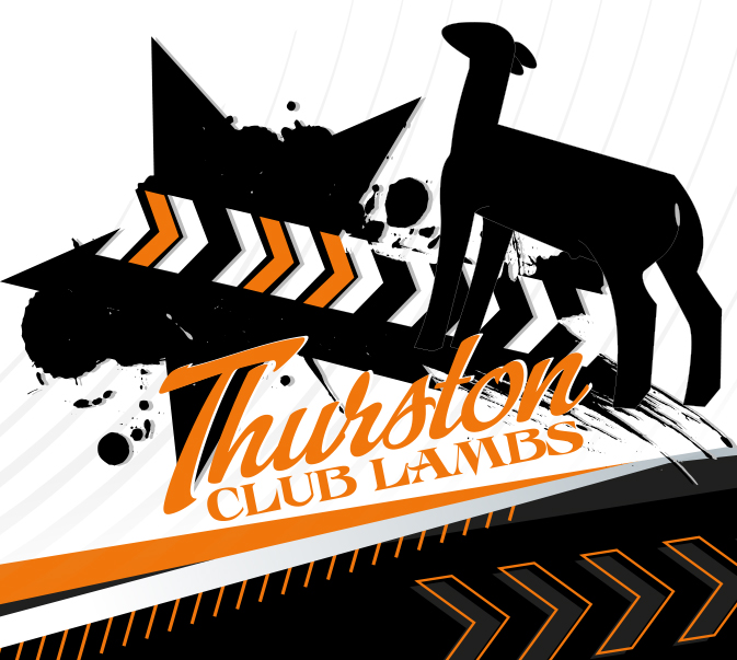 Thurston Club Lambs